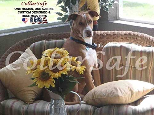 petsafe remote trainer replacement collar