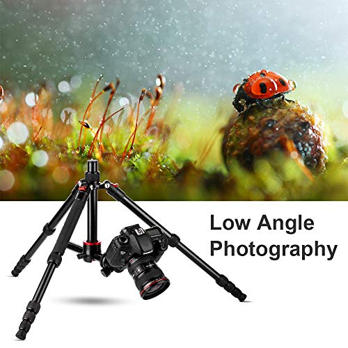 K&F Concept Trepied Monopode Appareil Photo Rouge T255A4, Trepied Professionel Compact pour DSLR, Trepied Voyage Leger…