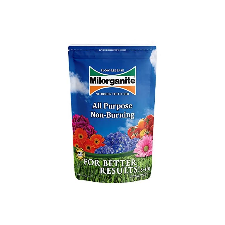 Item can be shipped within U.S. Green Home Coach