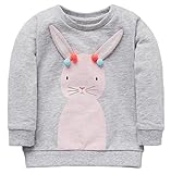 Fiream Girls Crewneck Cartoon Long Sleeve Hoodie Sweatershirt(1331TZ,2T)