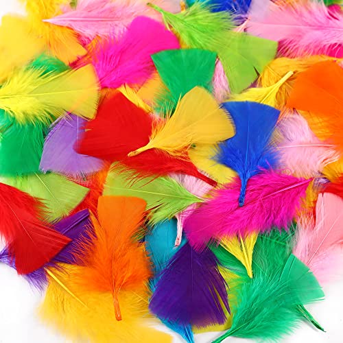 Soarer Colorful Craft Turkey Feathers - 300pcs 3-5inch Colored Feathers for Kindergarten DIY Crafts,Wedding Home Party Decorations,Dream Catcher Supplies(Turkey Colorful)