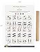 Stretching Exercise Poster Now Laminated - Shows How to Stretch Specific Muscles for Your Workout - Flexibility Exercises - Stretching Routine - Home/Gym Fitness 19