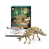Dinosaur Excavations Kits - Unearth 3D Dinosaur Bones - Stegosaurus