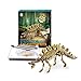 Dinosaur Excavations Kits - Unearth 3D Dinosaur Bones - Stegosaurus