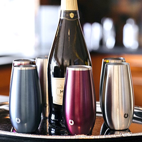 SNOWFOX W40006-09 Insulated Stainless Steel Stemless Glass, Champagne Flute (Set of 2), Dark Rose