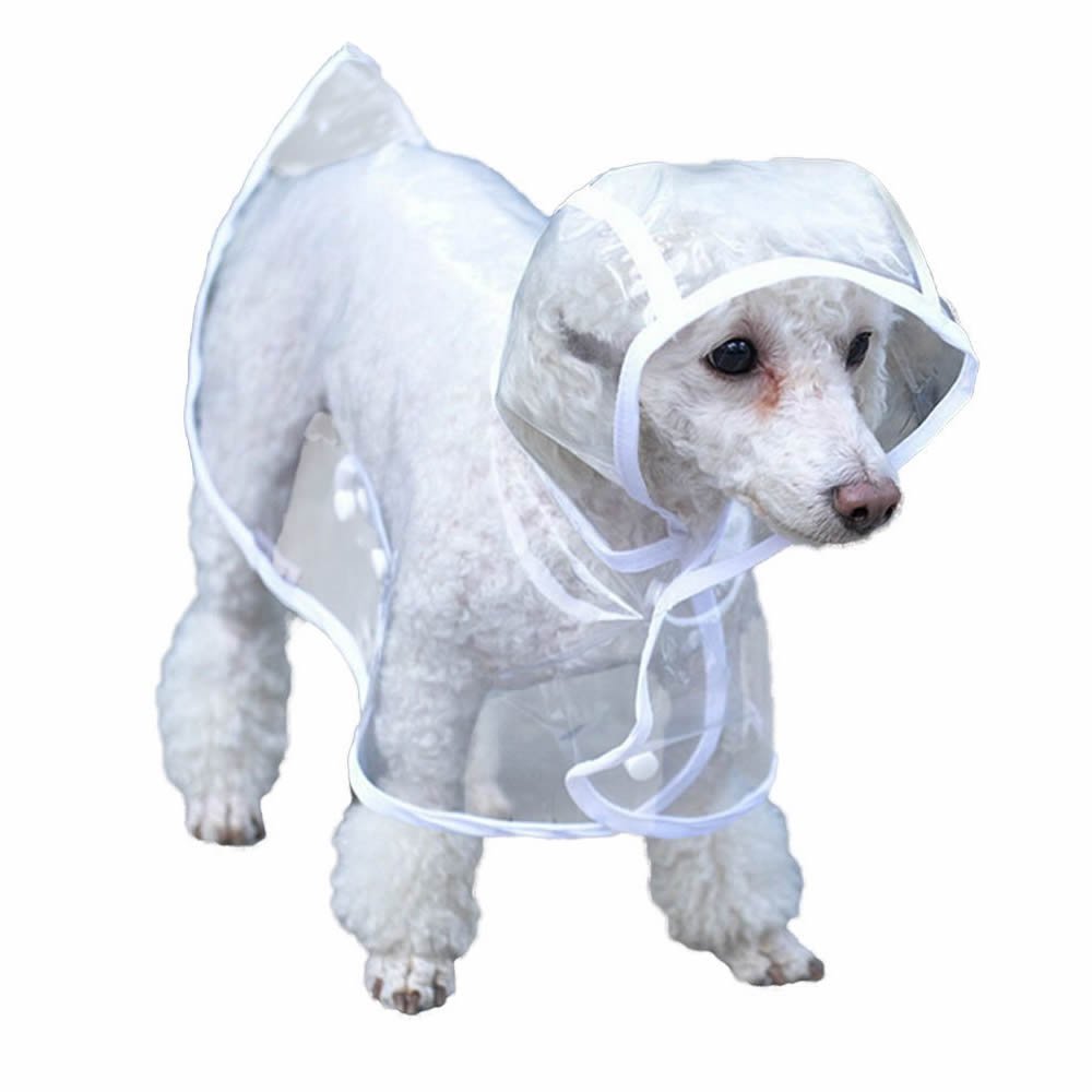 Bunty Dog Puppy PVC Waterproof Clear Transparent Rain Coat Jacket Hood Hooded Small Amazon.co