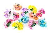 Hula Girl Hibiscus Flower Party Hair Clips - Hawaiian Party Themed Hair Clips, Luau Party Favors - Birthday Party Favors, Tropical Party Decorations (12 Pack) Assorted Colors