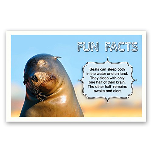 FUN FACTS postcard set of 20. Post card variety pack with trivia and fun fact theme postcards