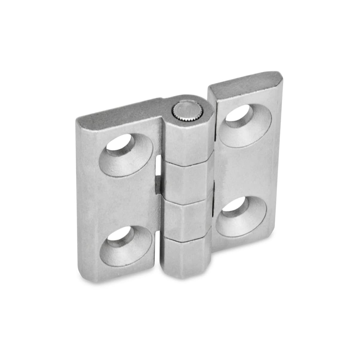 Ganter Standard Elements (GN Ni/40/40 Amp GS – Hinges | Easy to Mount |, Stainless Steel, Matt Sandblasted