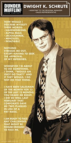 Culturenik The Office Dwight Shrute Corporate Ladder (Dunder Mifflin)
Cast Group Workplace Comedy TV Television Show Poster Print, FRAMED12
by 24 (Framed)