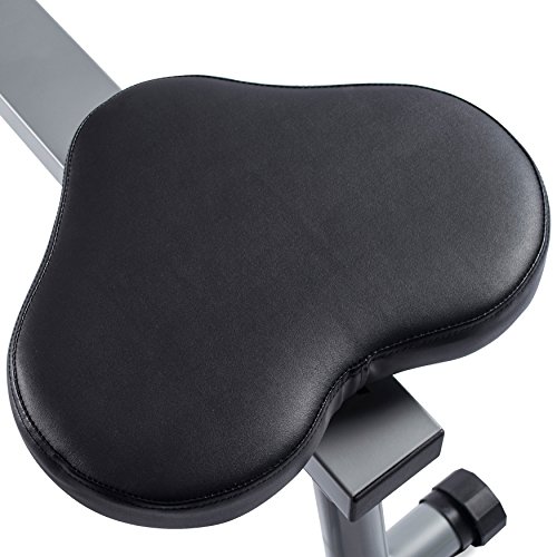 Total Motion Rowing Machine Rower with Full Arm Extensions, 350 lb Weight Capacity by EFITMENT - RW032