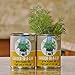 Back to the Roots Garden in a Can Grow Organic Dill, 2 Count