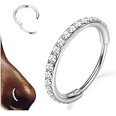 BodyBonita G23 Titanium CZ Nose Rings Hoops - 20G/18G/16G/14G Septum Rings Nose Hoop Clicker Cartilage Earring for Women Helix Rook Tragus Conch Piercing Jewelry Daith Ring Silver/14k Gold Plated