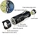 Pocketman One Mode LED Blacklights Flashlight 300LM 396nm Ultraviolet for Detecting Pet Dog Stains Checking Passport Money (1 Pack)