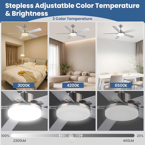 Newday 52" Ceiling Fan with Light and Silver Remote Control, Reversible 5 Ceiling Shovel with Dimmable Light, Large Silent Ceiling Fan for Living Room, Bedroom, Kitchen, Terrace