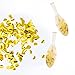 Gold Confetti Balloons - Large 18
