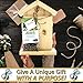 Mason Bee House - Crack'n Special $25 Off - Viewing Window, Wildflower Seeds, Guide - Wooden Block Nesting Tray Tubes Set - Wild Native Solitary Bees Unique Gardening Gifts for Women Men Mom Dad Gift
