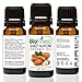 Biofinest Sweet Almond Organic Oil - 100% Pure Cold-Pressed - Premium Quality - Best Moisturizer - Vitamin A/E/K - Remove Dark Circles/Fine lines - Anti-aging - FREE E-Book (10ml)