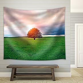 Single Oak Tree in Field Under Magical Sunny Sky - Fabric Wall Tapestry Home Decor - 51x60 inches
