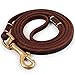 FAIRWIN Genuine 5Ft Leather Dog Leash Leads Rope for Large/Medium/Small Dogs Training/Walking (S - 5 ft x 3/8 inch, Reddish Brown)