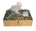 Bequet Gourmet Celtic Sea Salt Caramel 5lb bag (Celtic Sea Salt, 5lb bag)