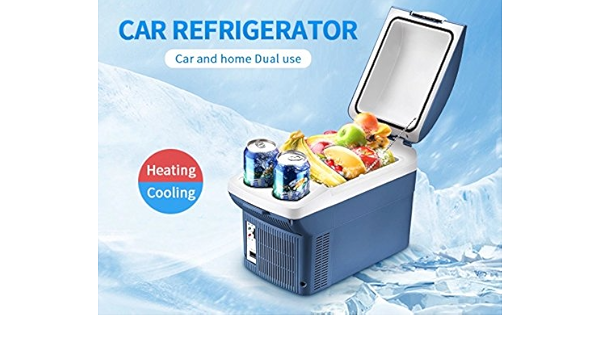Amazon.es: SHISHANG Mini 8L Car Thermo Electric Cooler/220V ...