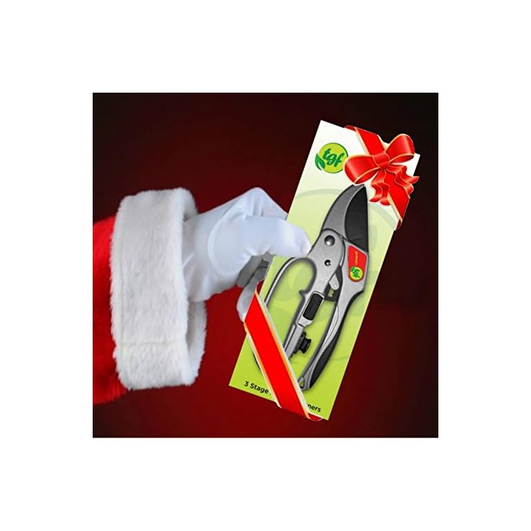 Secateurs, Ratchet Anvil Style Shears, Made For Weak Hands But Strong