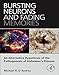 Bursting Neurons and Fading Memories: An Alternative Hypothesis of the Pathogenesis of Alzheimer's D by 