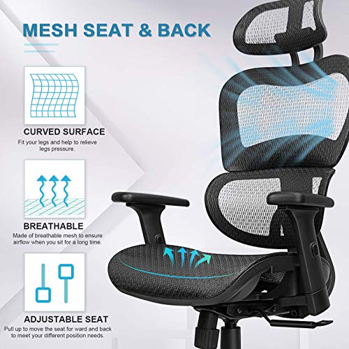 Ergousit Ergonomic Office Chair Mesh Computer Chair with Adjustable 3D Armrest, Lumbar Support