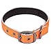 Max and Neo Glacier Reflective Neoprene Metal Buckle Dog Collar - We Donate a Collar to a Dog Rescue for Every Collar Sold (Large, Orange)