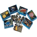 Dozen Assorted Mini Fish Theme Puzzles