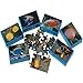 Dozen Assorted Mini Fish Theme Puzzles