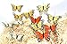 butterfly artificial made of feather (3.25'' flower mix color)