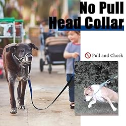 Reflective Head Collar, No Pull Collar for Small