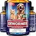 Wowpaw Dewormer for Dogs & Cats (2 OZ) - Made in USA - Worm Treatment for Pets - Natural Powerful Blend Against Whipworm, Hookworm, Roundworm & Tapeworm - Senior Pets, Kitten & Puppy Dewormer