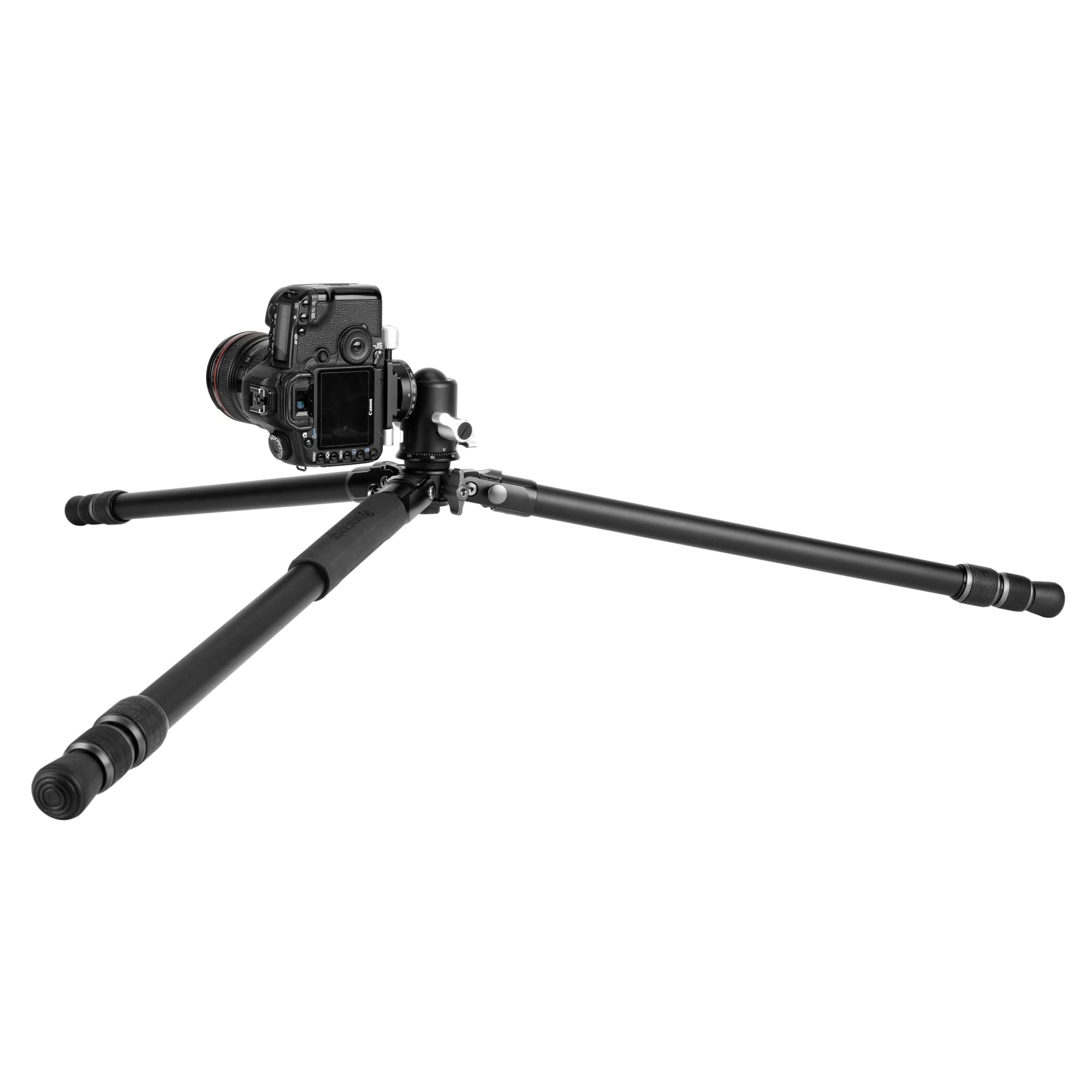 View 4