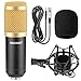 NEEWER NW-800 Condenser Microphone (Gold) with Suspension Boom Scissor Arm Stand, Table Mounting Clamp, Pop Filter and 48V Phantom Power Supply