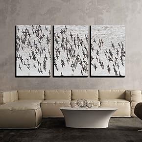 3 Piece Canvas Wall Art - Dunlin Flying Over Sea in Bc Canada - Modern Home Art Stretched and Framed Ready to Hang - 16"x24"x3 Panels