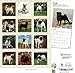 Goldistock 2020 Large Wall Calendar -
