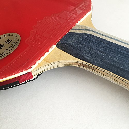 Palio Legend 2.0 Table Tennis Racket & Case ITTF Approved Flared