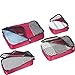 eBags Classic Packing Cubes - 4pc Small/Med Set (Raspberry)