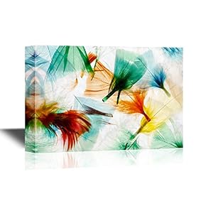 Colorful Feathers Premium