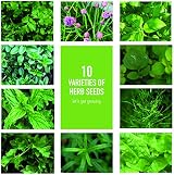 Scott&Co Herbs Seed Kit 10 Varieties Basil Coriander Chives Mint Oregano view 2