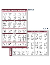 Juego de póster de bandas de resistencia y sistema muscular QuickFit   Juego de 2 gráficos laminados   tubo de resistencia para ejercicios rutinarios y musculares diagrama de anatomía (18" x 27")