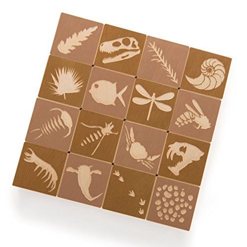 Uncle Goose Fossil Blocks - Made in the USA