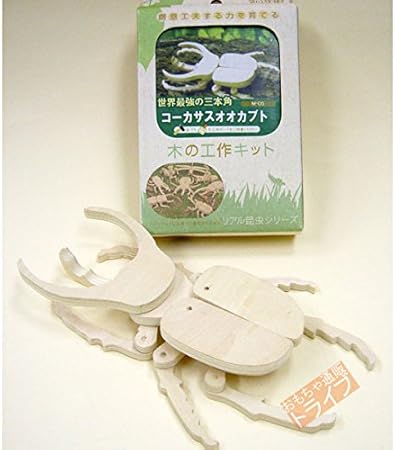 Amazon 木製 昆虫工作キット コーカサスオオカブト 生物 動物 人体 おもちゃ