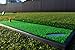 FORB Launch Pad Golf Practice Mat (2-in-1 Fairway/Rough) (24in x 12in) – Mini Golf Mat Combining Realistic Fairway & Semi-Rough Lies [Net World Sports]