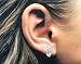Adorable Sitting Cat Stud Earrings in Sterling Silver 925