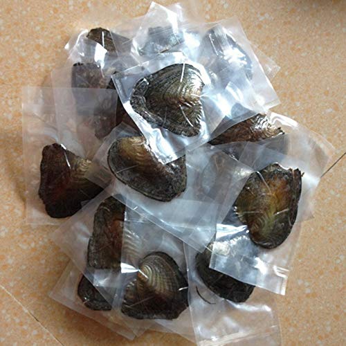 6 psc Vacuum Packaging Mussel Oyster Drop Pearl Pendant Pearls (White)