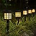 KODOO 8Pack Solar Pathway Lights Outdoor, Outdoor Garden Lights, Solar Pathway Lights, Outdoor Landscape Lighting for Lawn/Patio/Yard/Walkway/Driveway